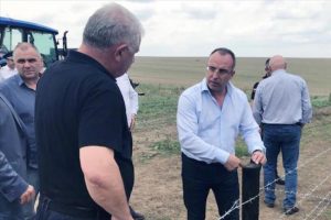 Bulgaristan, domuz vebasına tel örgüyle önlem alacak