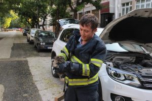 Motora giren yavru kediyi itfaiye ekipleri kurtardı