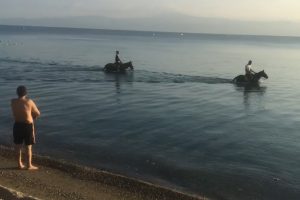 Bursa'da atları denize sokup serinlettiler