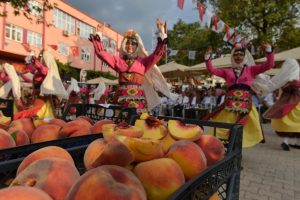 Bursa Tahtalı şeftalisi bu festivalle adını duyuruyor