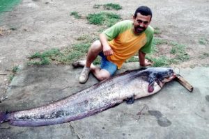 Bursa İznik Gölü'nde 2 metre 10 santimlik yayın balığı yakaladı