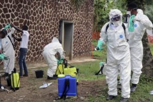 Ebola kabusu! 20 kişi öldü