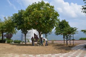 Bursa Celal Bayar Anıt Parkı yenileniyor