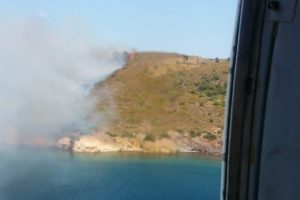 Ayvalık Maden adasında orman yangını