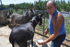 Is Insanindan Kanser Hastalarina Ucretsiz Esek Sutu Bursada Bugun Bursa Bursa Haber Bursa Haberi Bursa Haberleri Bursa