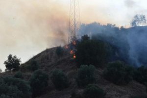 Aydın'daki yangın korkuttu