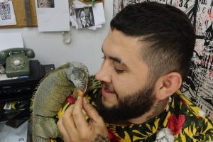 İş yerinde beslenen iguana ilgi odağı oldu