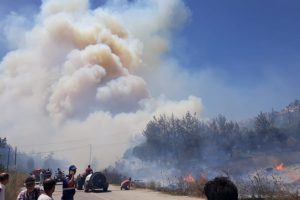 Bursa Mudanya'da orman yangını