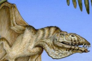 ABD'de yeni bir uçan dinozor türü keşfedildi