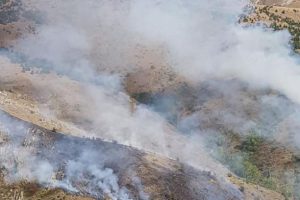 Elmadağ'daki orman yangını söndürüldü