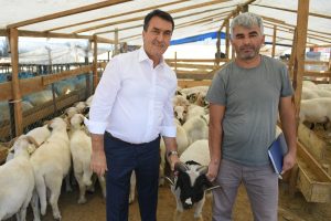 Bursa Osmangazi Belediye Başkanı Dündar kurban pazarını gezdi