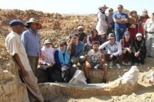 Cezayir'de "3 milyon yıllık fil kemiği" bulundu