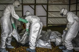 Kongo Demokratik Cumhuriyeti'nde Ebola alarmı