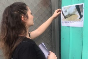 Genç kadın evden kaçan kedisini sokak sokak arıyor