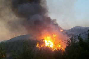 Sivas'ta çıkan orman yangını yerleşim alanlarını tehdit ediyor