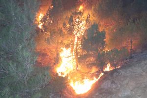 Sivas'taki orman yangını kontrol altına alındı