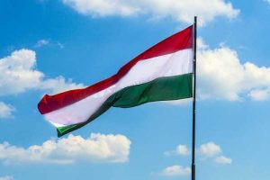 Macaristan'dan 2 PKK'lıya tutuklama