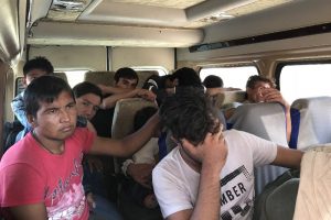 Ormanlık alanda 48 mülteci yakalandı