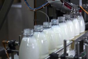 Virüslü süt ürünleri skandalında yeni perde: Bakanlığa hırsızlar girdi!