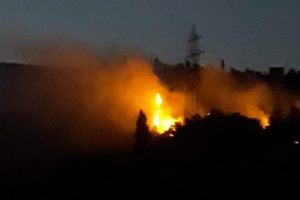 Kocaeli'de orman yangını