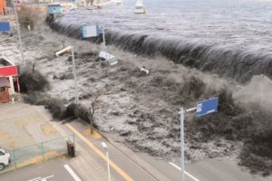 Marmara depremi için korkutan tsunami uyarısı: "500 bin insan ölebilir"