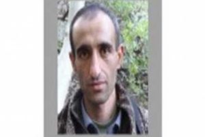 Aranan PKK'lı teröristin mektubu bulundu!