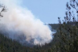 Bursa Orhaneli'de orman yangını