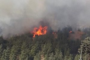 Osmaniye'de yangın, mahalle boşaltıldı
