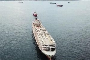 Şarbon iddialarıyla gündeme gelen gemi Türkiye'den ayrıldı