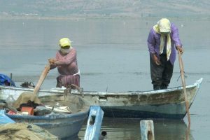 Denizi olmayan Manisa'dan balık ihracatı