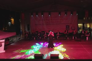 Bursa'da 'Biber Festivali' sona erdi
