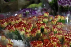 Rusya'nın yaptığı zam çiçek ihracatını kesti