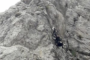 Kayalıklarda mahsur kalan 3 keçi kurtarıldı