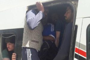 50 kaçak göçmen yakalandı