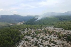 Muğla'da 5 dönüm ormanlık yandı