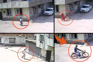 Sokakta inanılmaz dakikalar... Aile boyu kovaladılar!