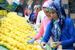 Narenciyede erken hasat, ihracatı artırdı