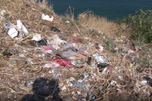 Bursa'da çöplüğe dönen Mudanya'yı gönüllüler temizledi