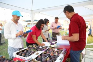 Bursa 6. Ak&ccedil;alar İncir Festivali'ne b&uuml;y&uuml;k ilgi