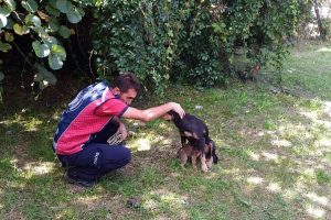 Tellere sıkışan yavru k&ouml;peği itfaiye kurtardı