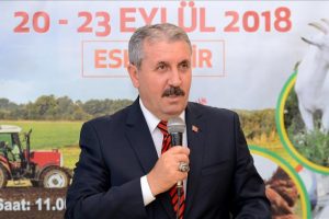 Destici: Biz Cumhur İttifakı'nın s&uuml;rmesini arzu ederiz