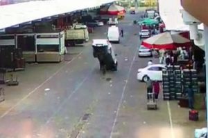 Akılalmaz kaza! Araba adeta şaha kalktı