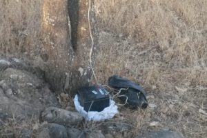 Kurnaz avcıların oyunu baskınla bozuldu