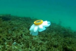 Robot denizanaları g&ouml;reve hazır!
