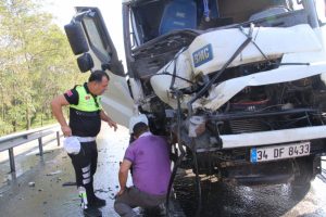 Kamyona giren arı kazaya sebep oldu