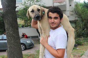 Hasta k&ouml;peği tedavi ettirmek i&ccedil;in sırtında taşıyan o gen&ccedil; konuştu