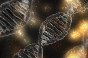CRISPR ile DNA yerine RNA d&uuml;zenlenebilecek