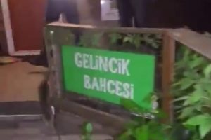 Bursa'da kenevir ektikleri bahçeyi böyle gizlemişler
