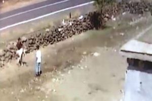 Umduklarını bulamayınca k&ouml;peği &ccedil;aldılar