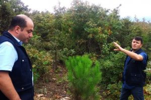 Orman k&ouml;yl&uuml;s&uuml; kestane ve ıhlamurdan kazanacak